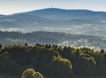 Bayerischer Wald