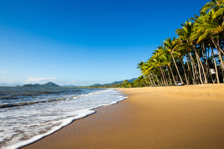 Palm Cove
