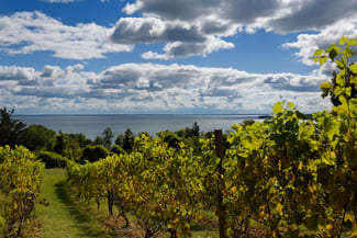 Prince Edward County