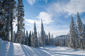 Sun Peaks Mountain Resort